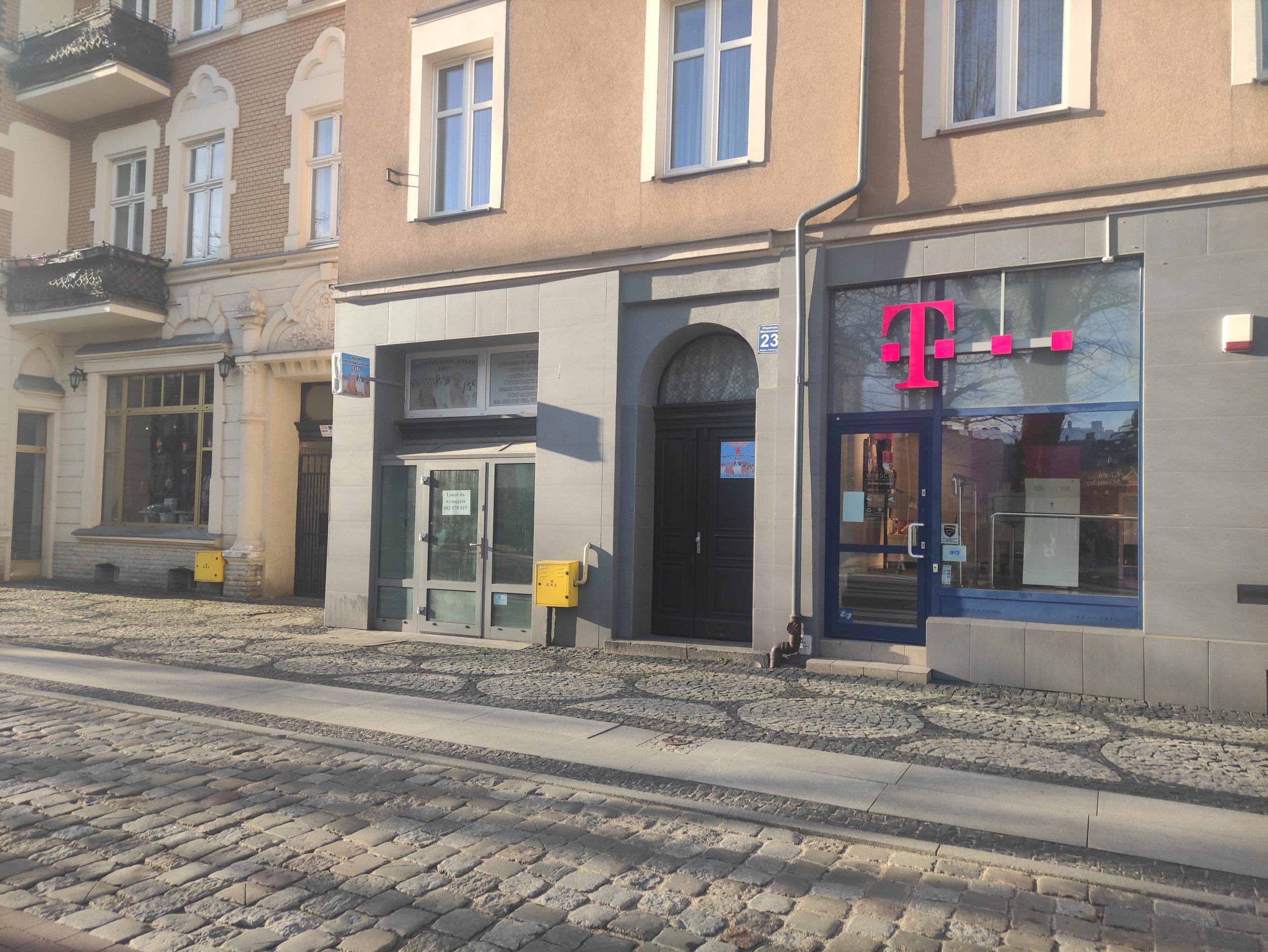 Psi Fryzjer Słupsk