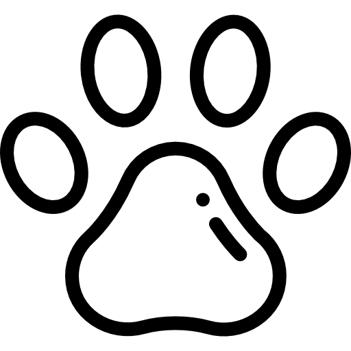 Psi Fryzjer Słupsk